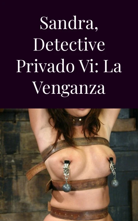 Sandra, detective privado VI: La venganza