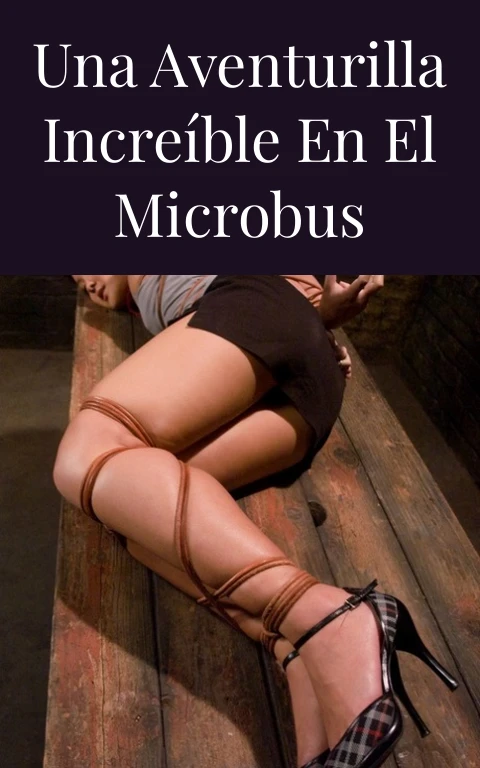 Una aventurilla increíble en el microbus